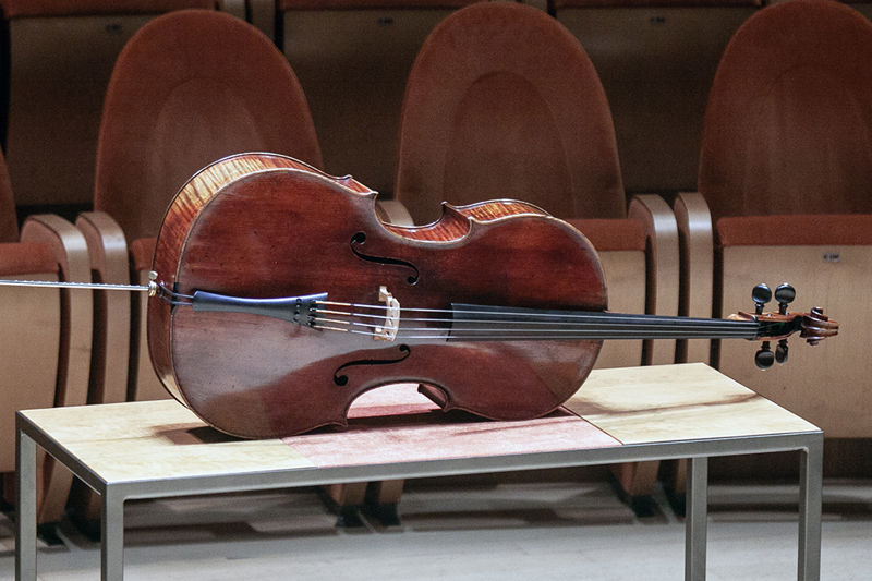 Stauffer ex Cristani